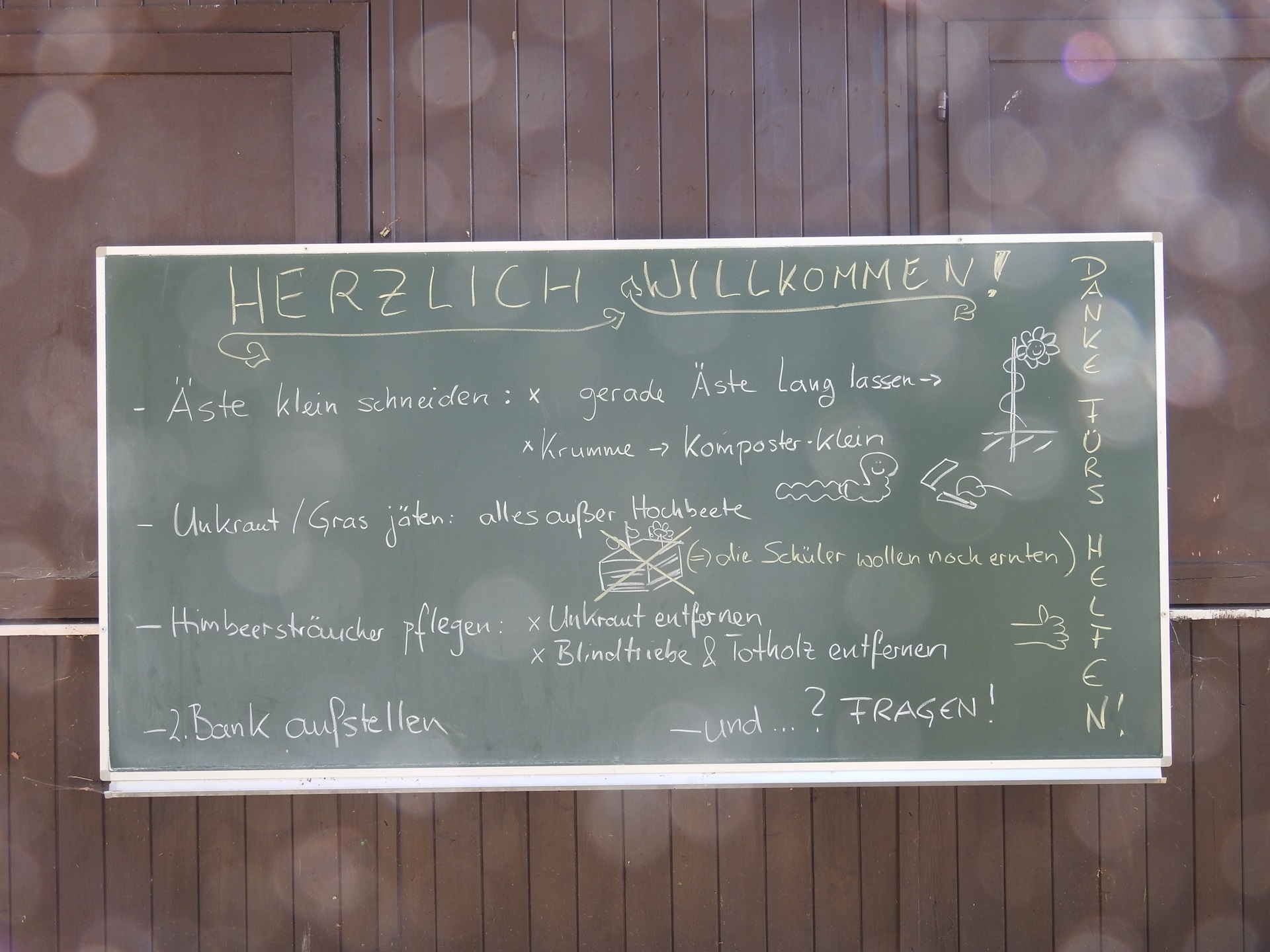 Zusammen anpacken, Freude haben und Gutes tun – darum ging es beim Freiwilligentag am 21. September 2024 (Foto: Dr. G. Hoffmann)