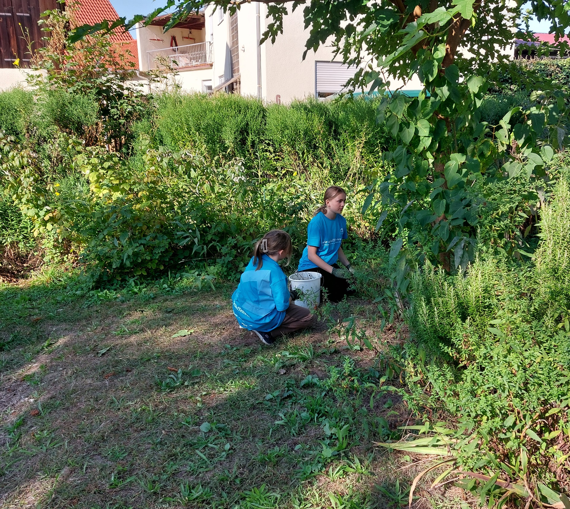 Zusammen anpacken, Freude haben und Gutes tun – darum ging es beim Freiwilligentag am 21. September 2024 (Foto: Dr. G. Hoffmann)