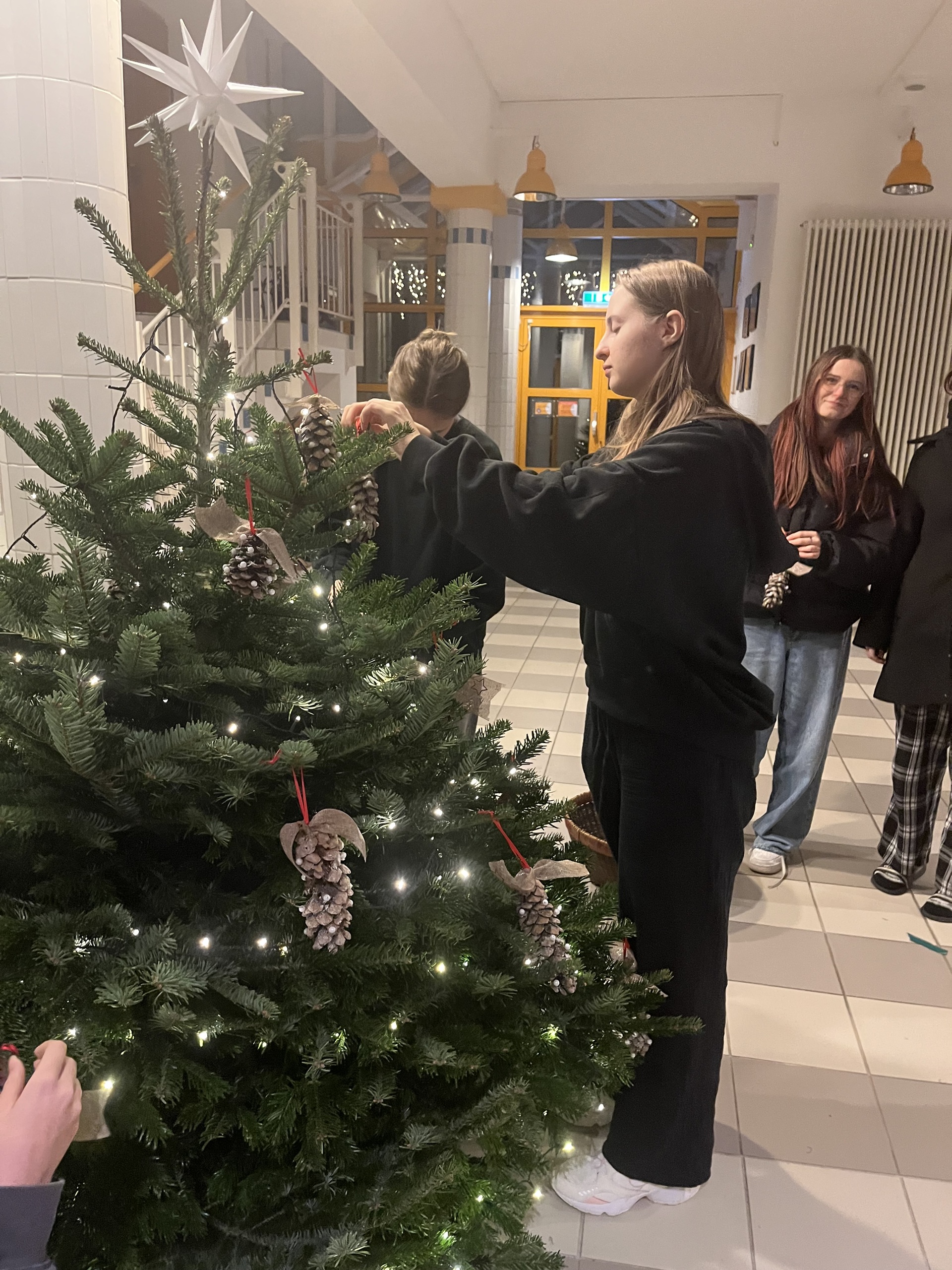 Artėjant gražiausioms žiemos šventėms (Foto: A. Ručienė)